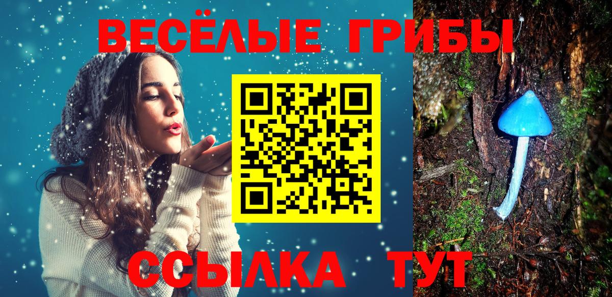 Псилоцибиновые грибы мицелий Кувандык